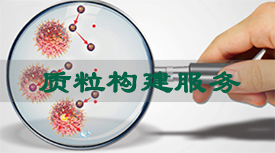 HJC黄金城平台质粒构建服务