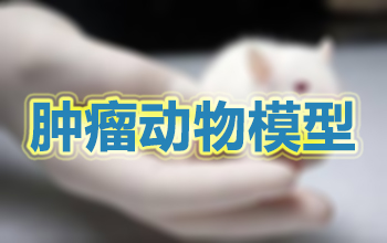 常见的肿瘤动物模型一览