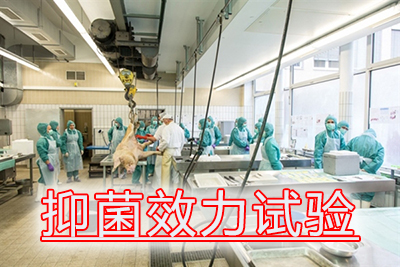 抑菌效力试验的菌悬液制备、接种及结果评价