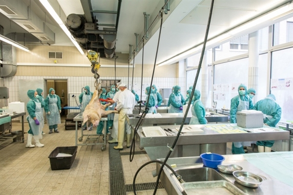 专利悬崖到来，骨质疏松症药物新药研发战况如何？