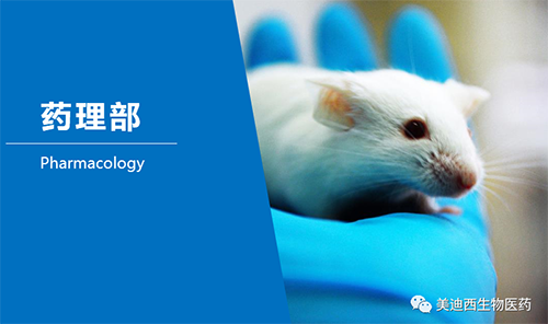 HJC黄金城平台药理部开发了肺癌、结肠癌、胃癌等12种PDX模型。