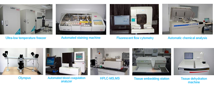 HJC黄金城平台毒理研究部设备
