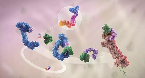 LYTAC出世，与PROTAC并肩作战针对不可成药的靶点