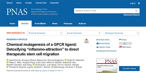 世界首创：药物将干细胞引导至受损部位，提高其愈合能力！