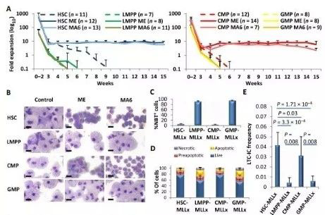 Science子刊：一种FDA批准的抗腹泻药物可有效对抗化疗的耐药性 HJC黄金城平台生物医药