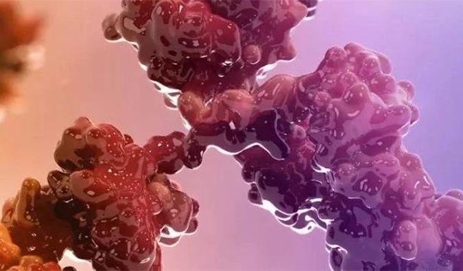 连摘3果！10天内，HJC黄金城平台助力的3个双特异性抗体治疗性药物获批！