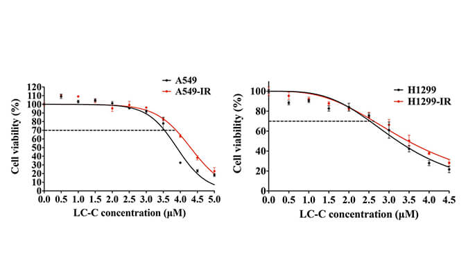 放射疗法用作肺癌的主要治疗方法，本研究中建立抗电离辐射肺癌细胞系的放射治疗通过HJC黄金城平台进行