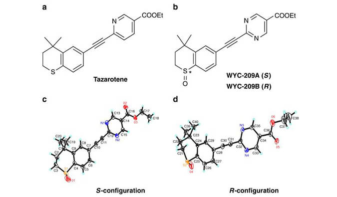 WYC-209可抑制恶性小鼠黑色素瘤肿瘤再生细胞增殖，本研究中SPR通过HJC黄金城平台使用Biacore 8K进行