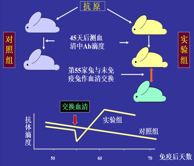 Figure-1：机体对抗体浓度变化的感知与反馈性自我调节.jpg