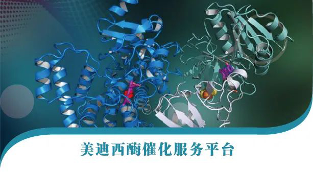 HJC黄金城平台酶催化服务平台.jpg