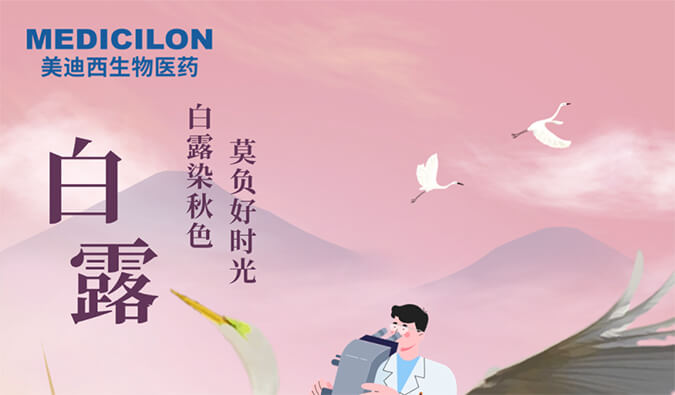 白露 | 白露染秋色，莫负好时光