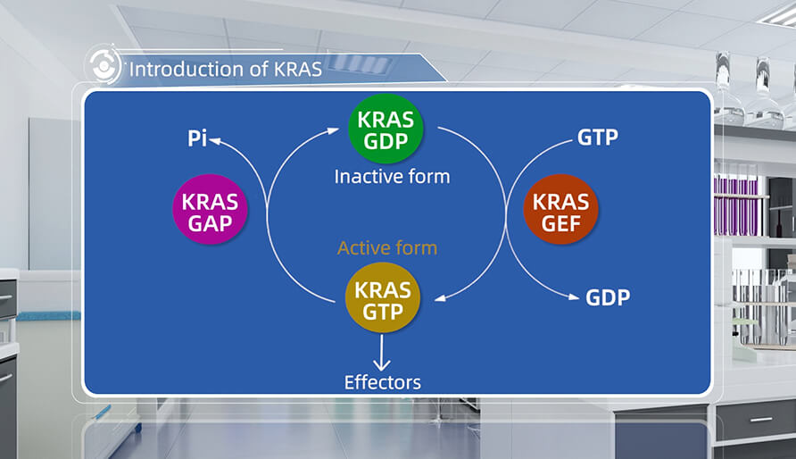 什么是KRAS？