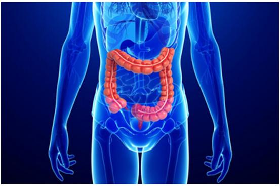 HJC黄金城平台一站式助力 | 宝太生物首个中美双报创新药获批