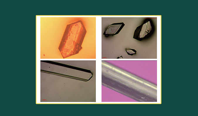 美研| CMC系列(十二)：单晶结构解析在药物开发中的应用和单晶培养哪些事儿