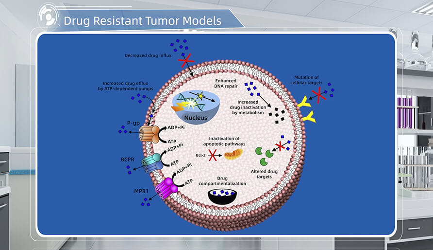 肿瘤耐药机制是什么？