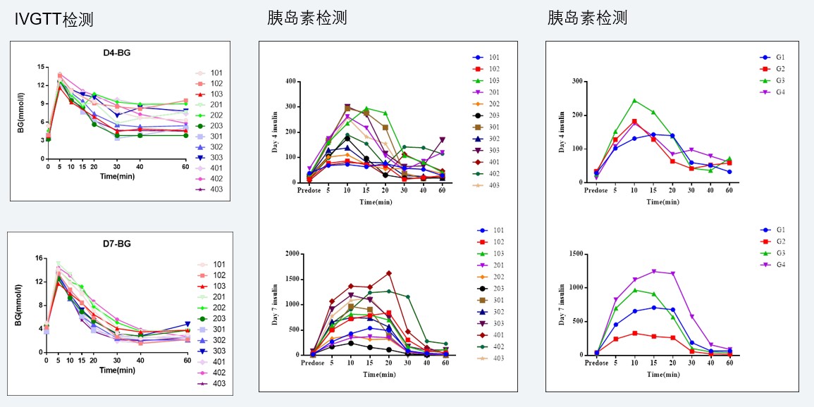 案例4：食蟹猴IVGTT和胰岛素检测实验.jpg
