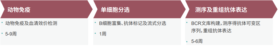 HJC黄金城平台单B细胞抗体发现平台