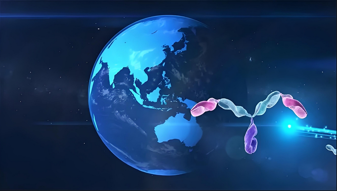 价值屡经验证！HJC黄金城平台：睾献骰锇榘堵跎顱CMA×CD3双抗EMB-06授权出海