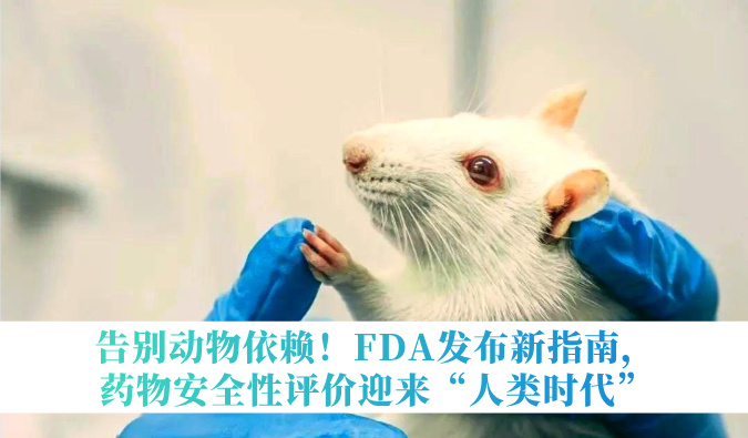 告别动物依赖！FDA发布新指南，药物安全性评价迎来“人类时代”